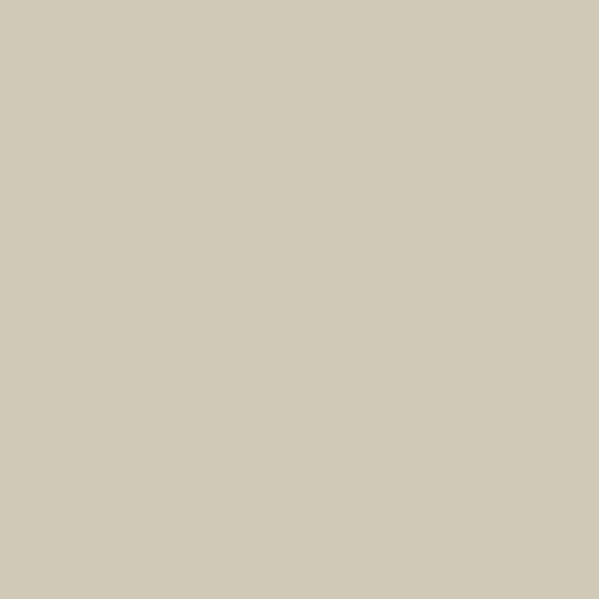 Fired Earth China Clay Paint - alternate view
