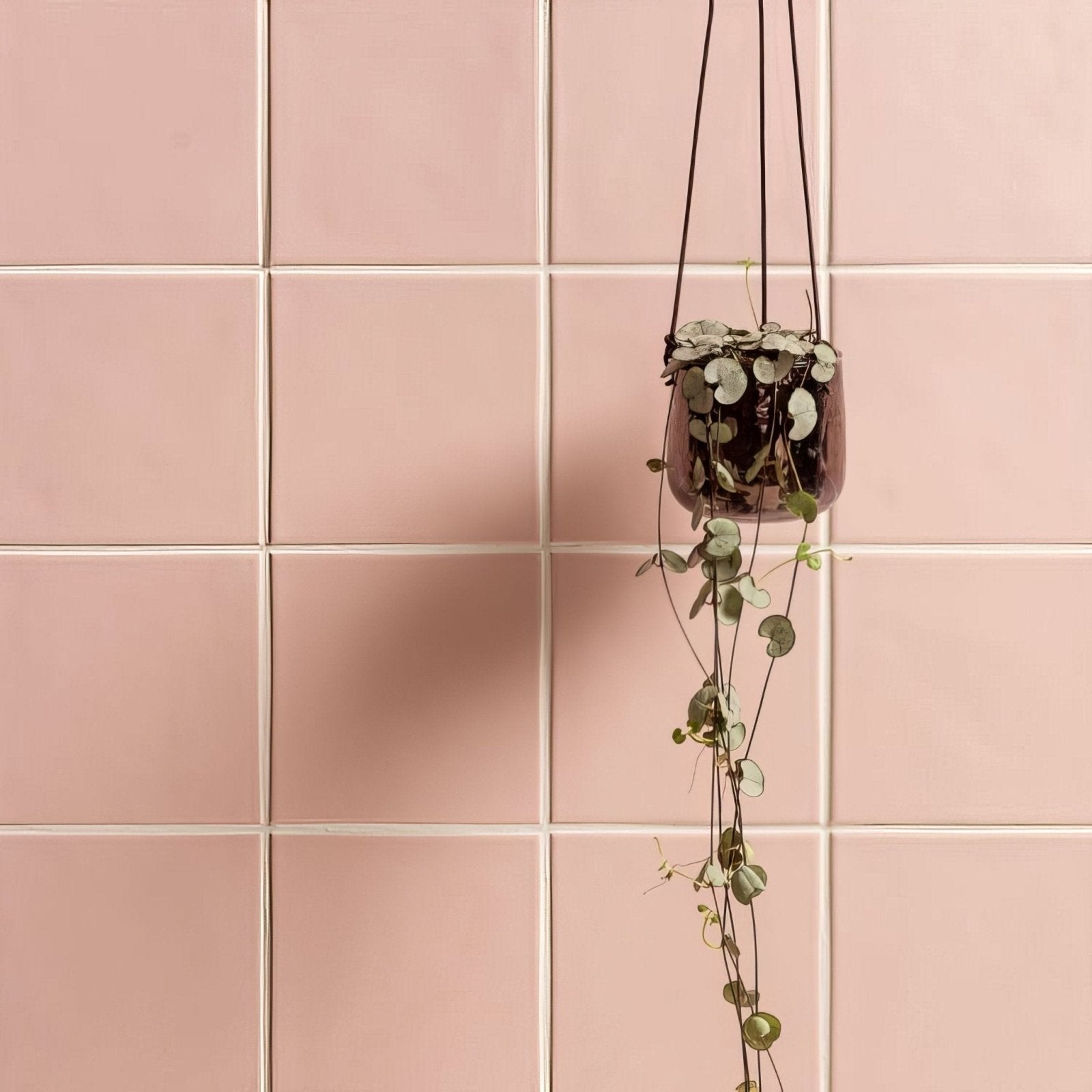 A hanging dark purple ceramic planter with glossy finish suspended by black cords against pink clare field tile wall