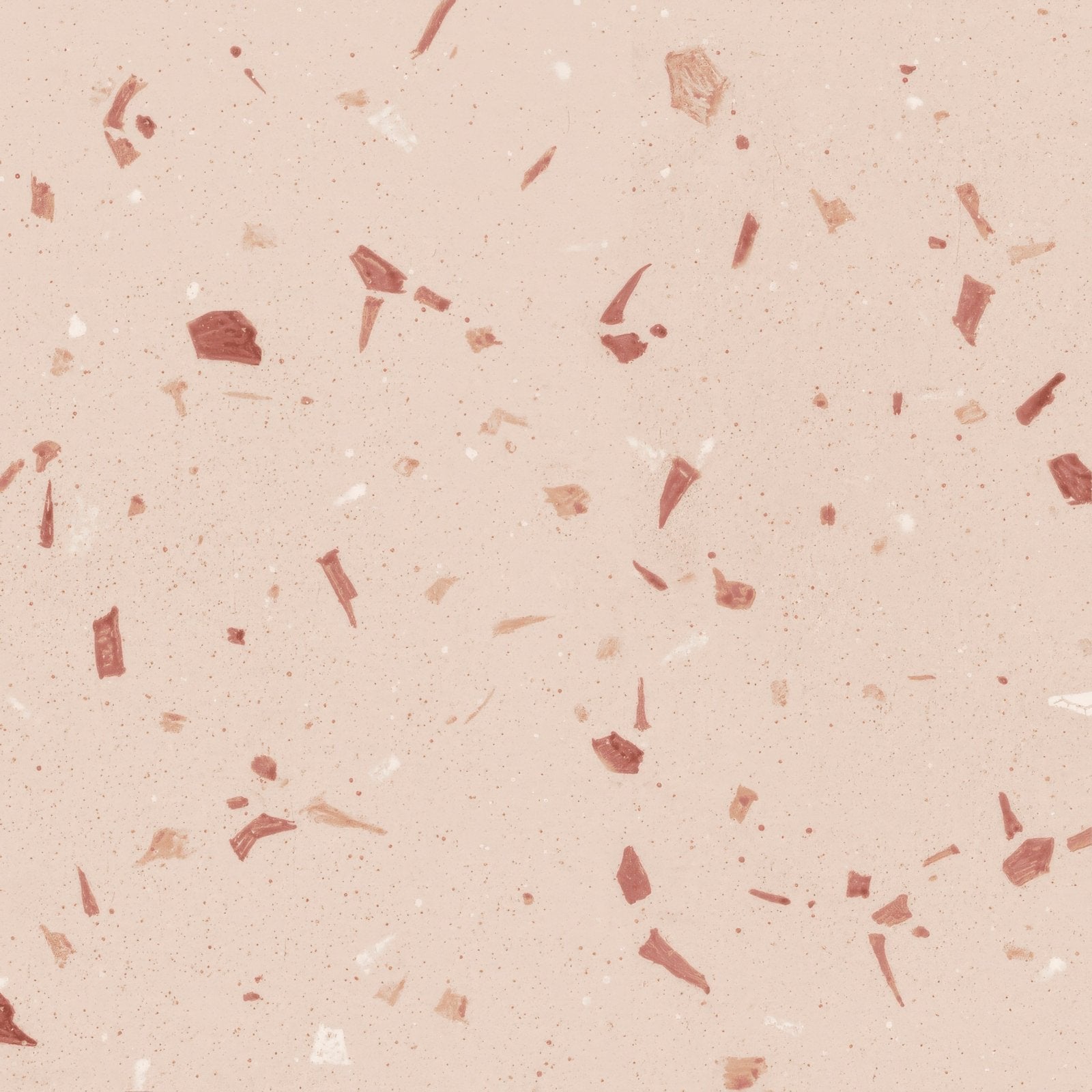 Coral Fragment 20x20cm