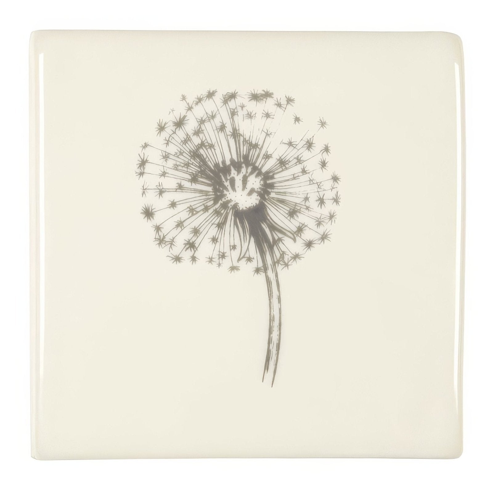 Dandelion On Off White