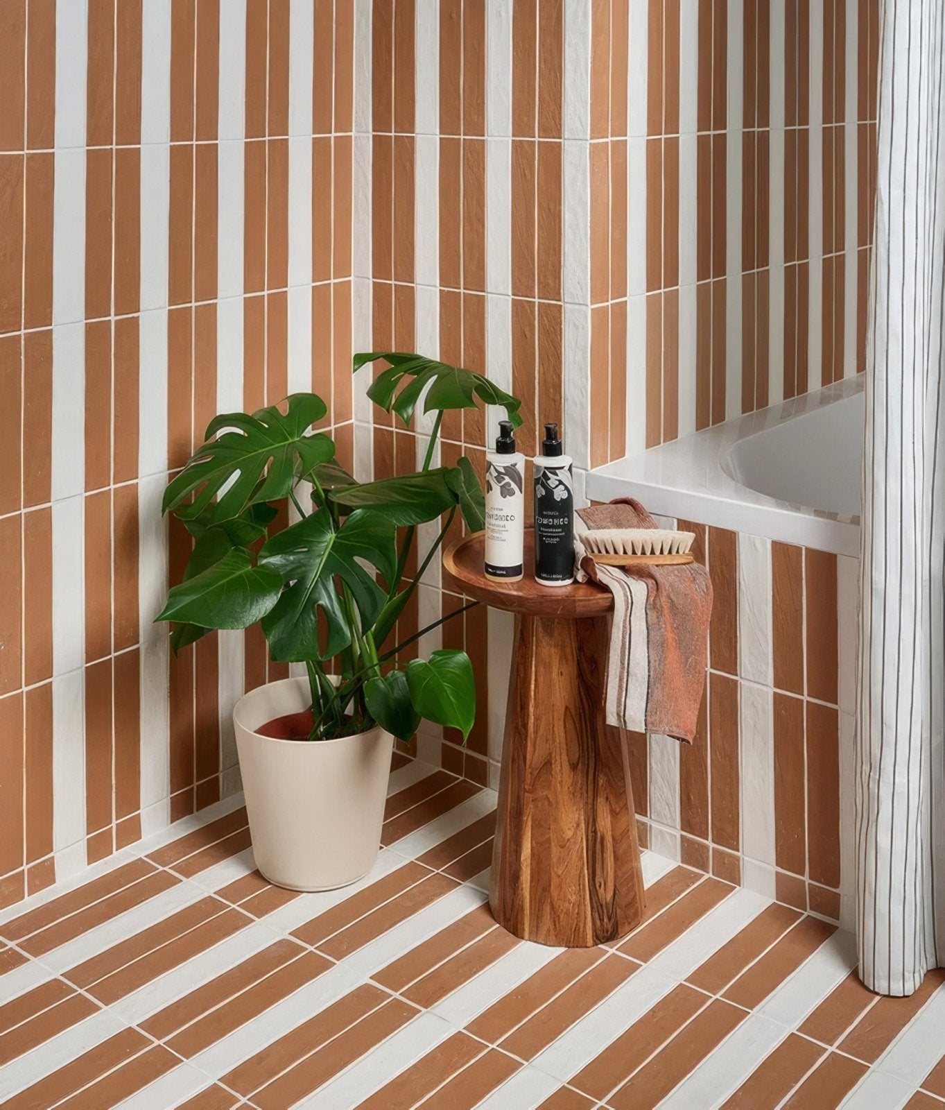 Earthenware Porcelain Red Clay