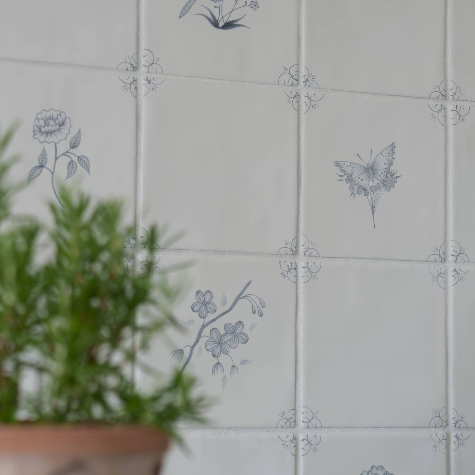 English Delft Charcoal Tulip