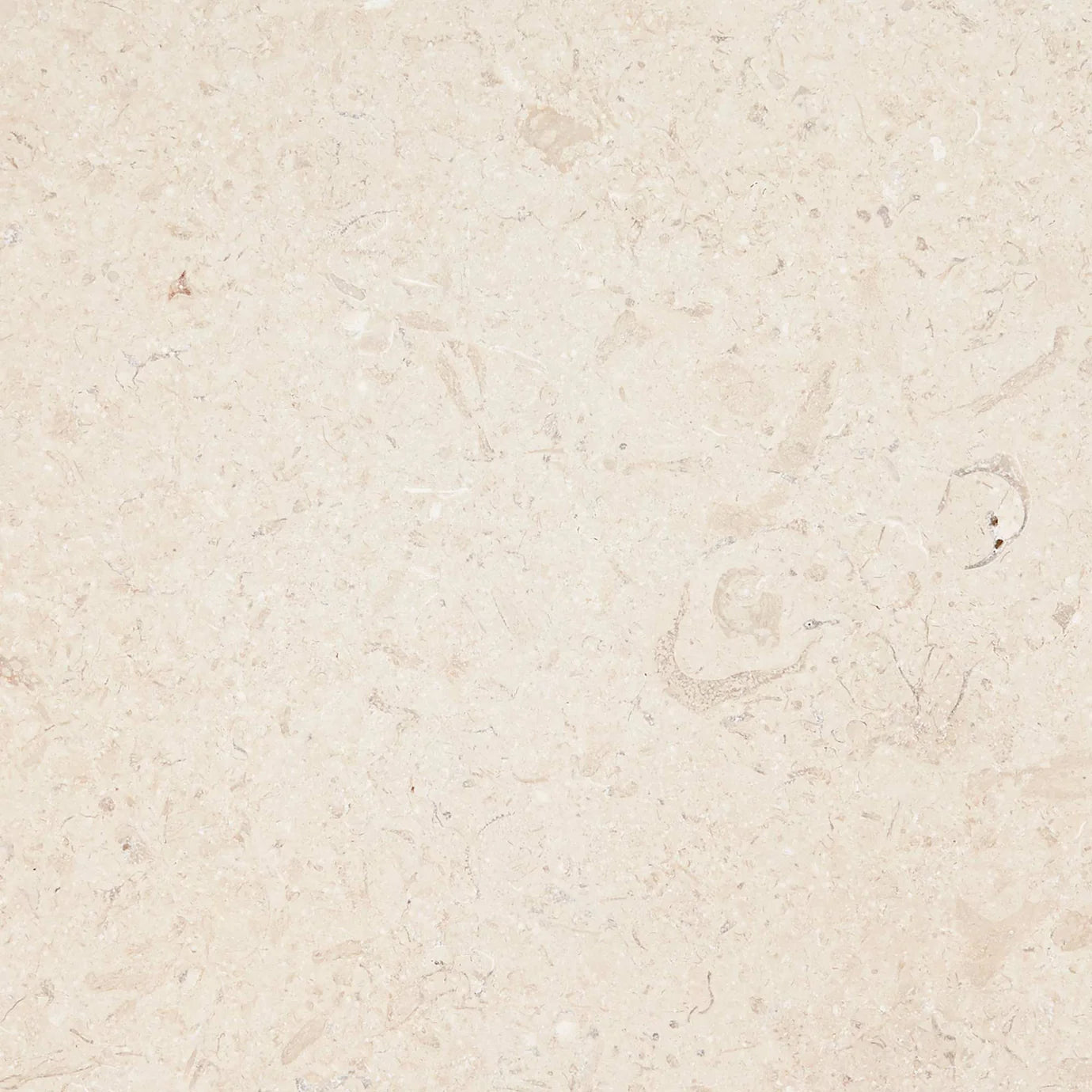 Temple Ezra 60 x 40cm Diamond Sawn Honed