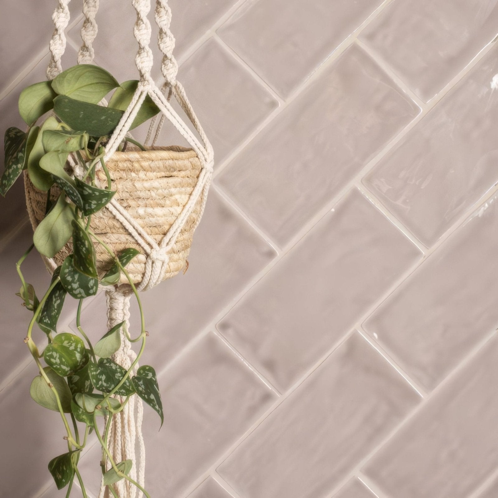 A cream-colored macrame hanging planter with a woven natural fiber basket holding green variegated leaves for flint brick tile decor