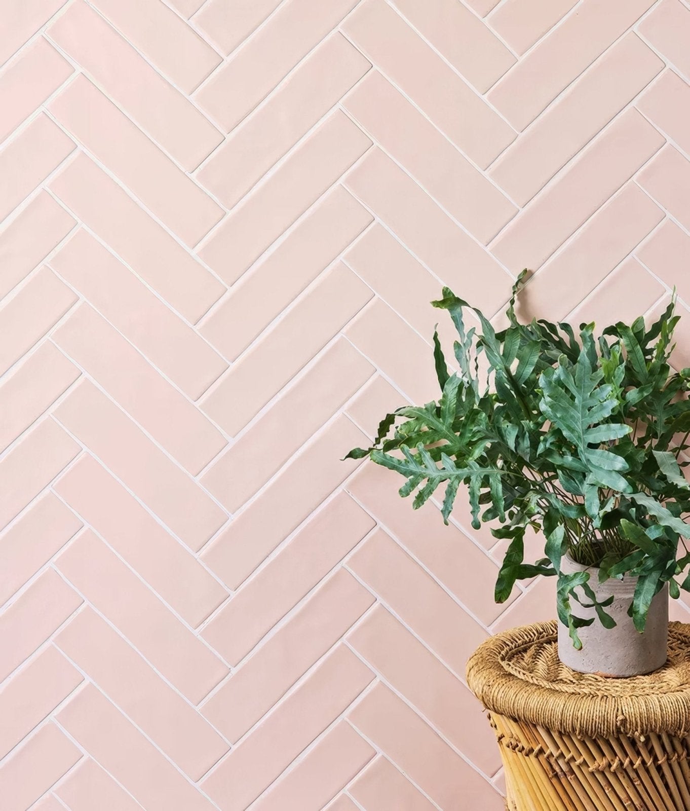 Fondant Ceramic Rose