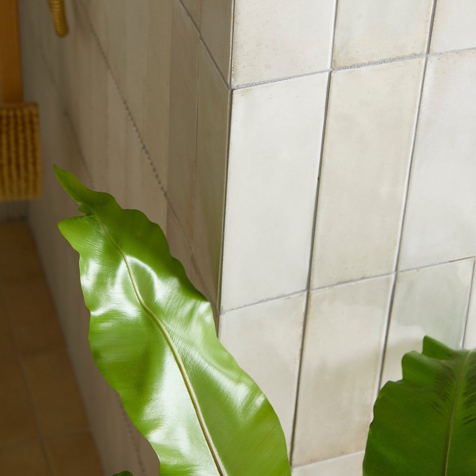 A vibrant glossy green leaf with wavy edge and central vein featured in fontenay porcelain metro wall tiles design