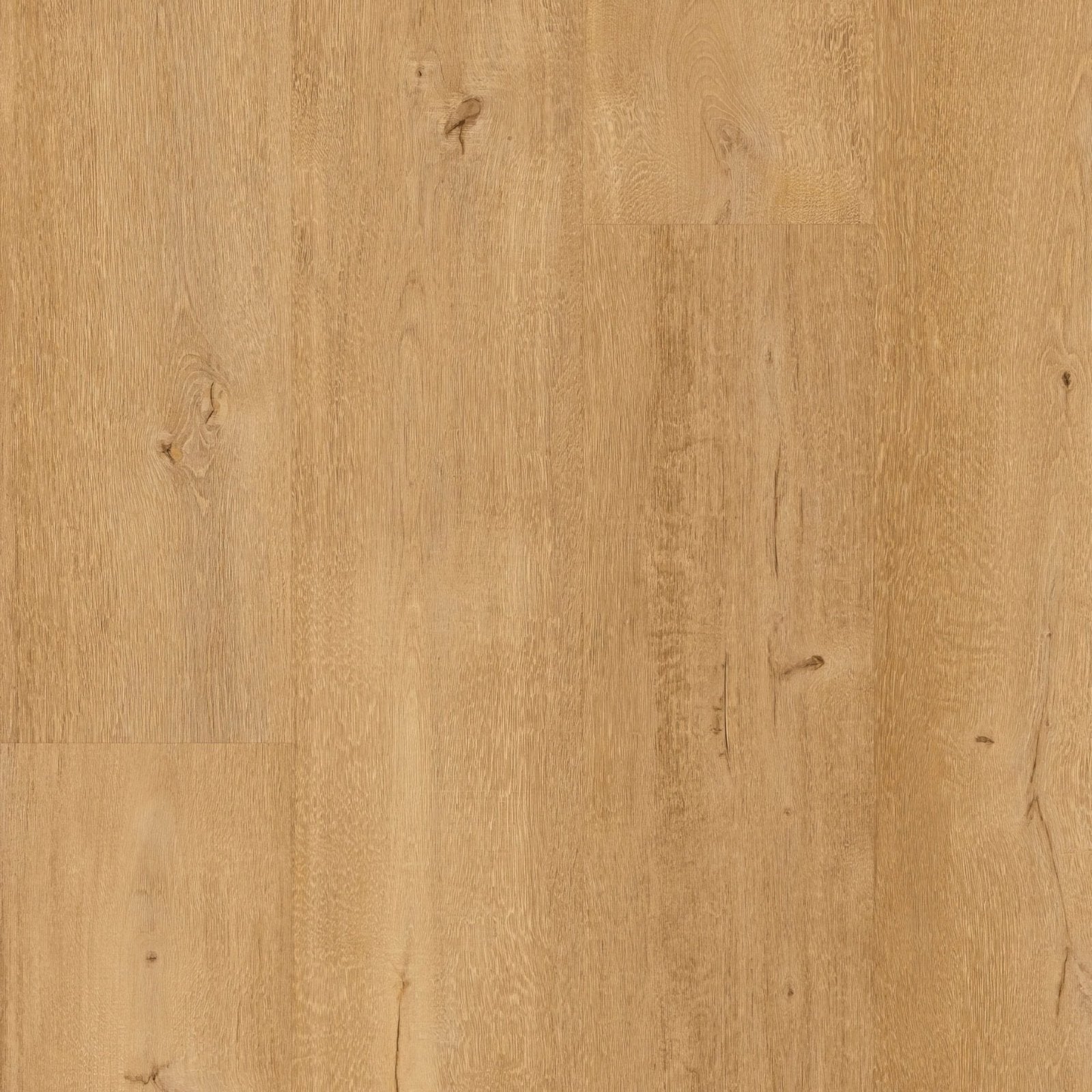 Frangipane F095 XL vinyl planks featuring light oak hardwood flooring with natural wood grain and subtle knots