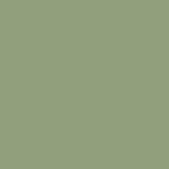 Fired Earth Garnet Paint - alternate view