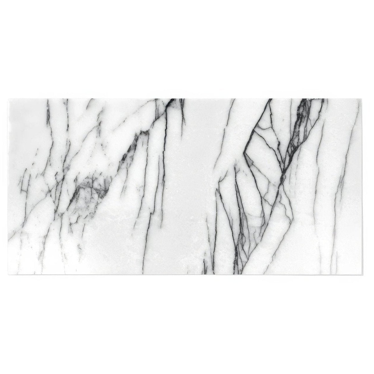 Georgica pond diamond sawn edge polished white marble tile with elegant black veining and smooth surface