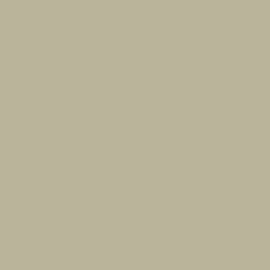 Fired Earth Gin & Tonic Paint - alternate view