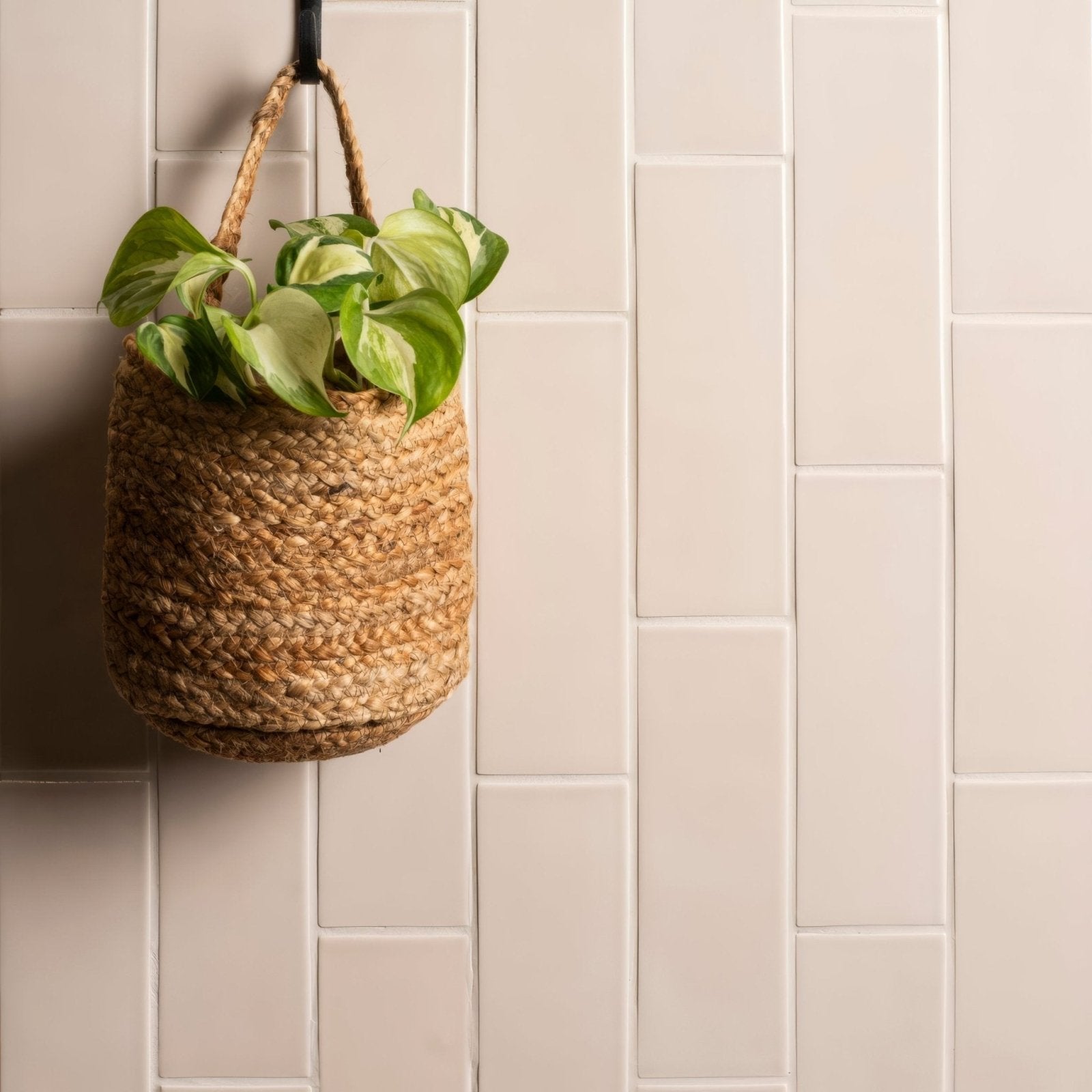 Brick tile hadleigh woven jute hanging planter in natural brown holding vibrant green and white variegated leaves