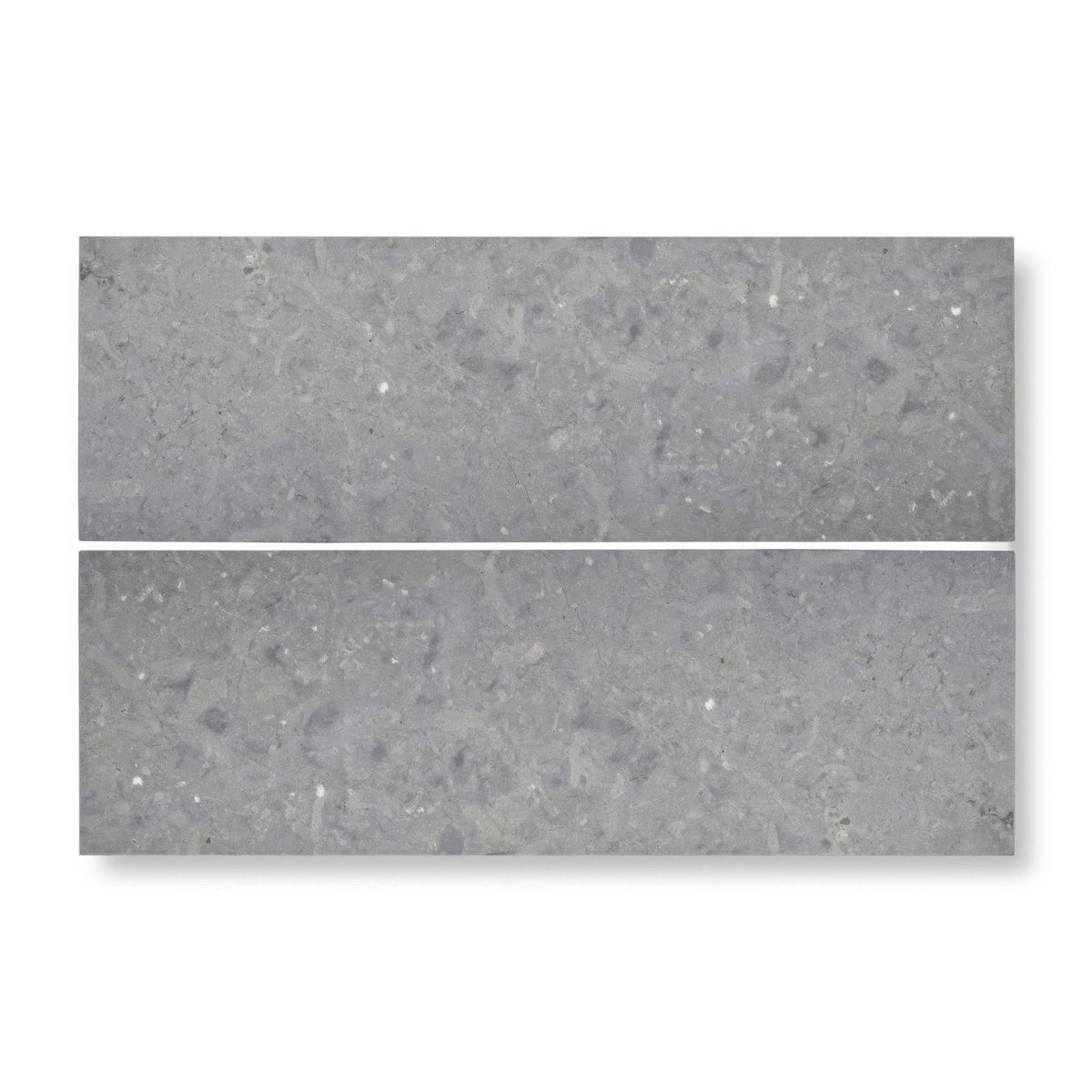Two rectangular gray terrazzo tiles with a speckled textured surface from hampton bays 10 x 30cm honed collection