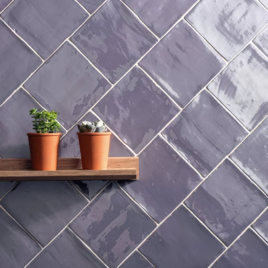 Two terracotta pots with green leafy plant and gray succulent on wooden shelf against glossy purple heath field tile