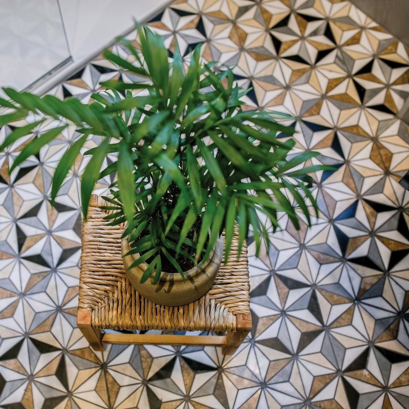 A lush green palm plant in a matte beige ceramic pot on a woven wicker stool complements istanbul marble mosaic decor