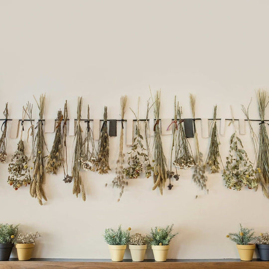 Ivory dried botanicals collection with beige tan muted green grasses and flowers on wall-mounted rack