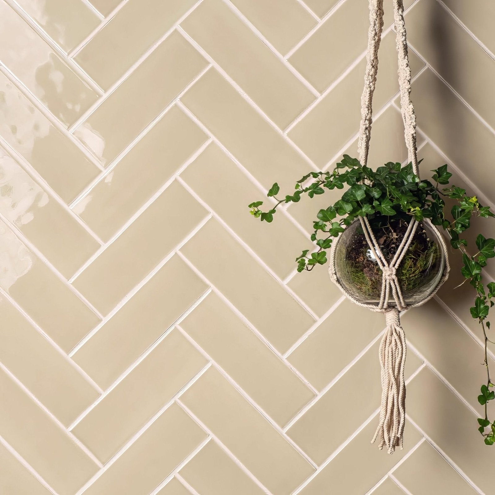 Brick tile lavenham clear glass spherical hanging planter with cream macrame cords holding trailing green ivy plant