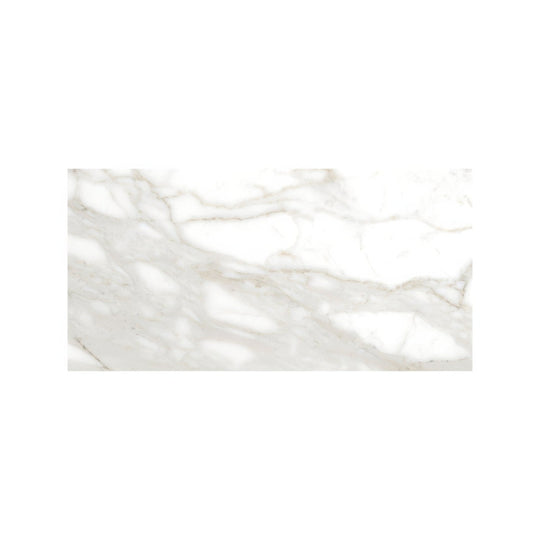 Lucca Calacatta Noble 60 x 120cm Wall & Floor Tile - alternate view