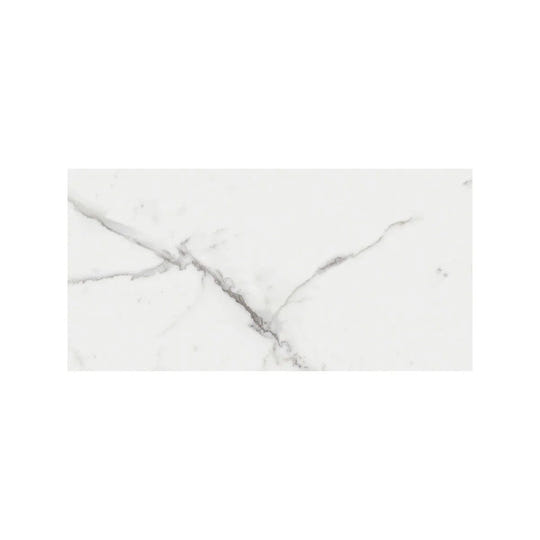 Lucca Statuario Venato 60 x 120cm Wall & Floor Tile - alternate view