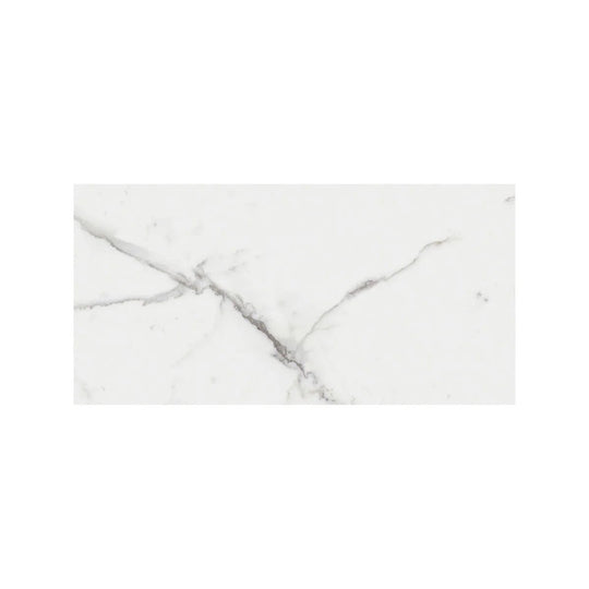 Lucca Statuario Venato 60 x 120cm Wall & Floor Tile - alternate view