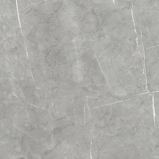 Lyon 1836 Marengo Matt Wall & Floor Tile - alternate view