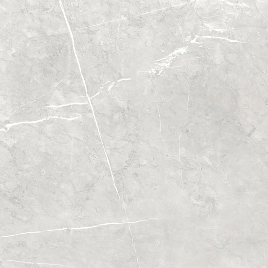 Lyon 1836 Perla Matt Wall & Floor Tile - alternate view
