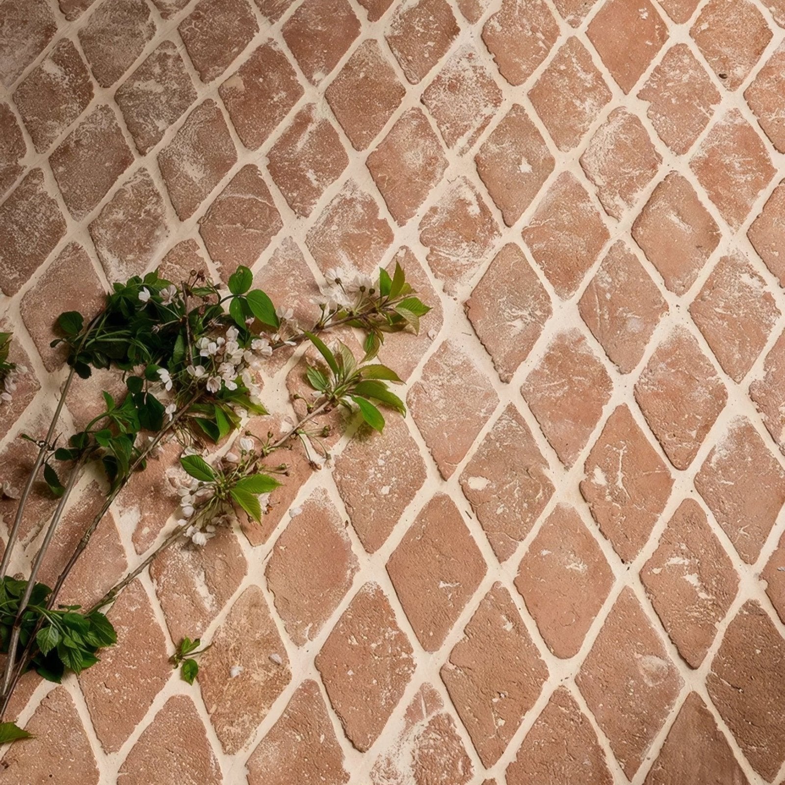 A delicate branch with green leaves and white blossoms against marlborough terracotta diamond patterned tiles