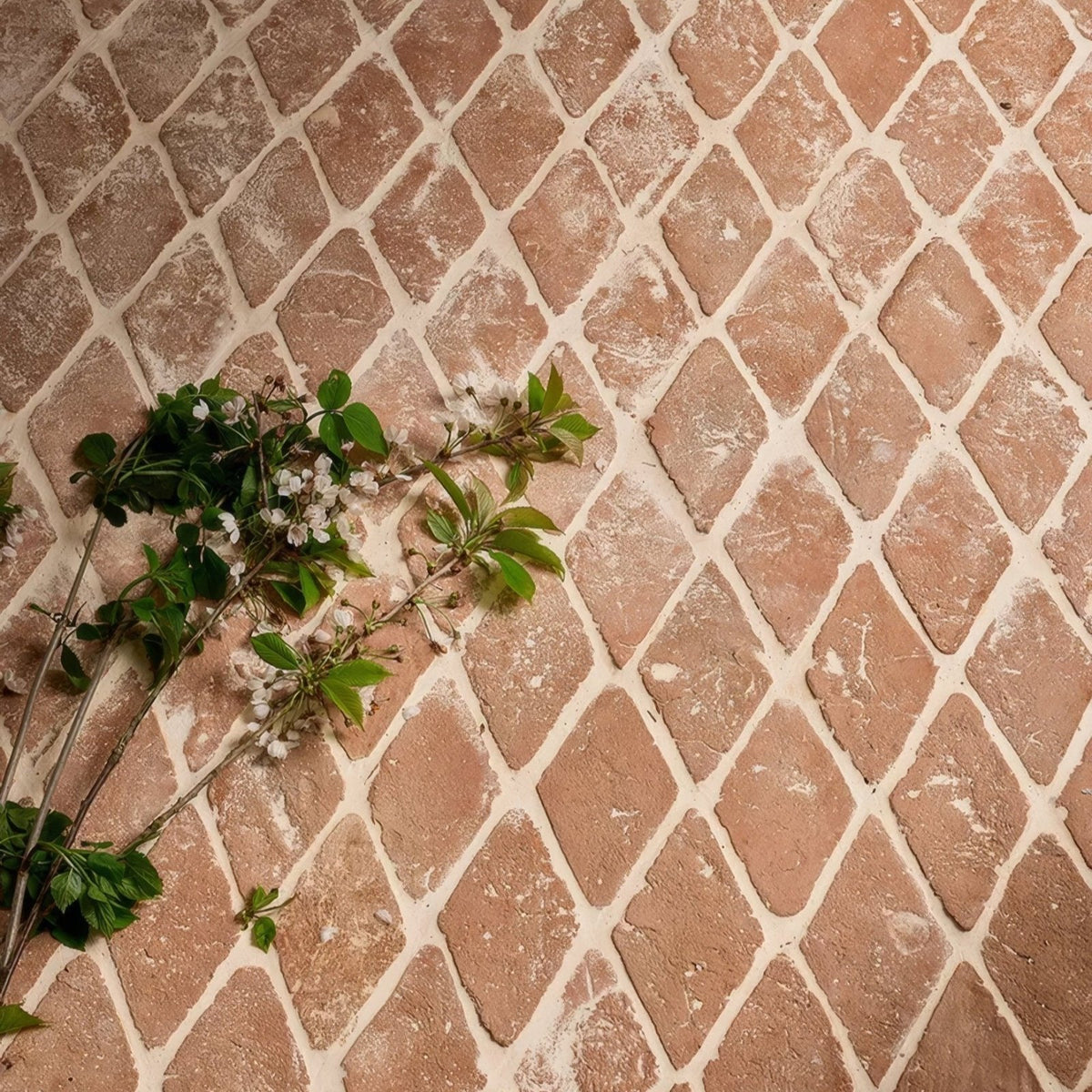 A delicate branch with green leaves and white blossoms against marlborough terracotta diamond patterned tiles