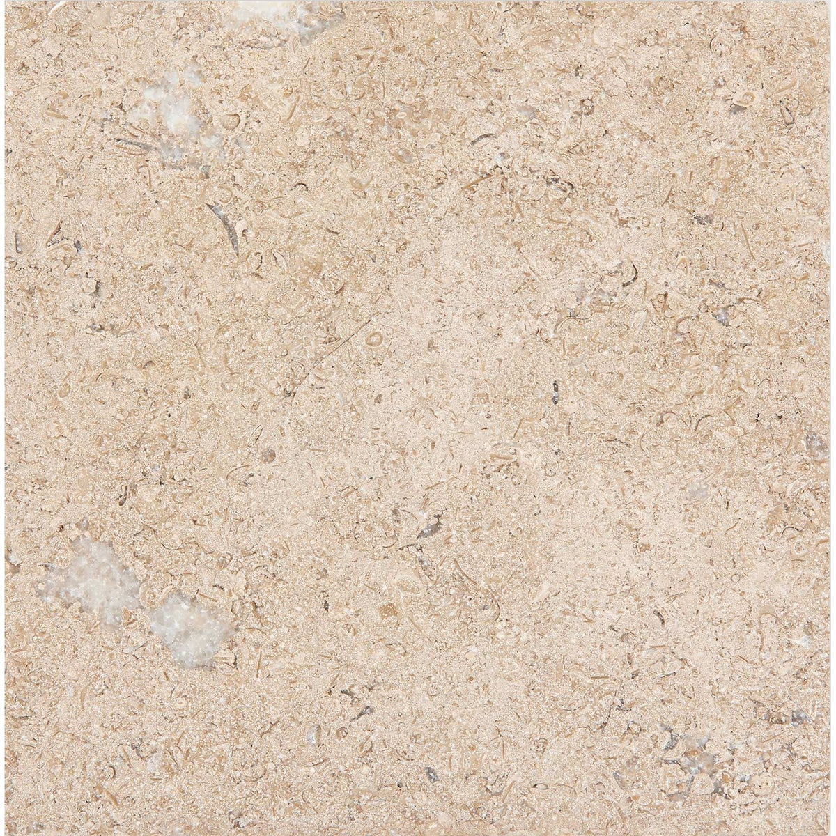 Temple Marsa sandblasted and brushed limestone 20 x 20cm square tile
