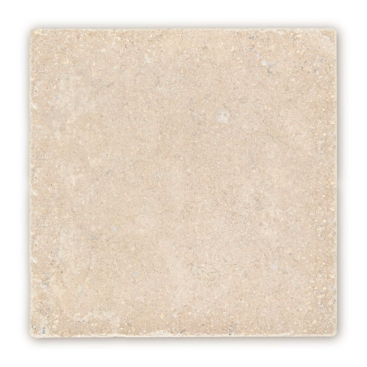 Temple Marsa sandblasted and brushed limestone tile 40 x 40cm — light beige natural stone with fossils and veining