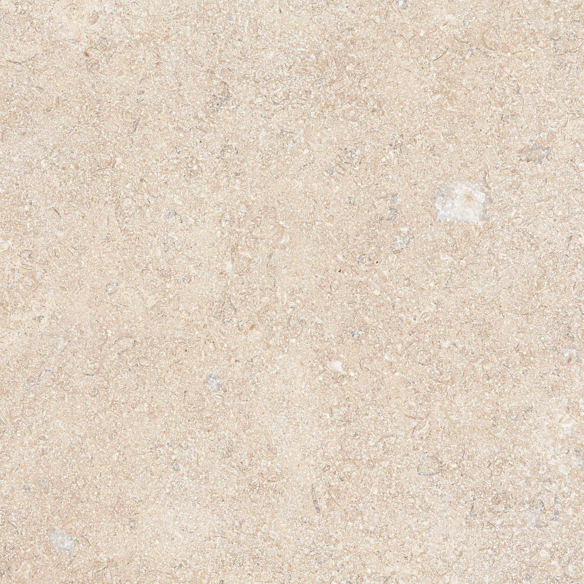 Temple Marsa Tumbled Limestone Tile 40 x 40cm