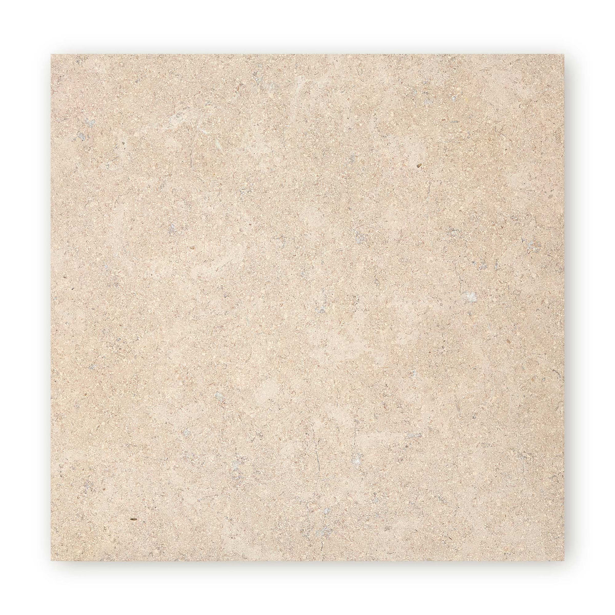 Temple Marsa sandblasted and brushed limestone tile 60 x 60cm — light beige natural stone with fossils and veining