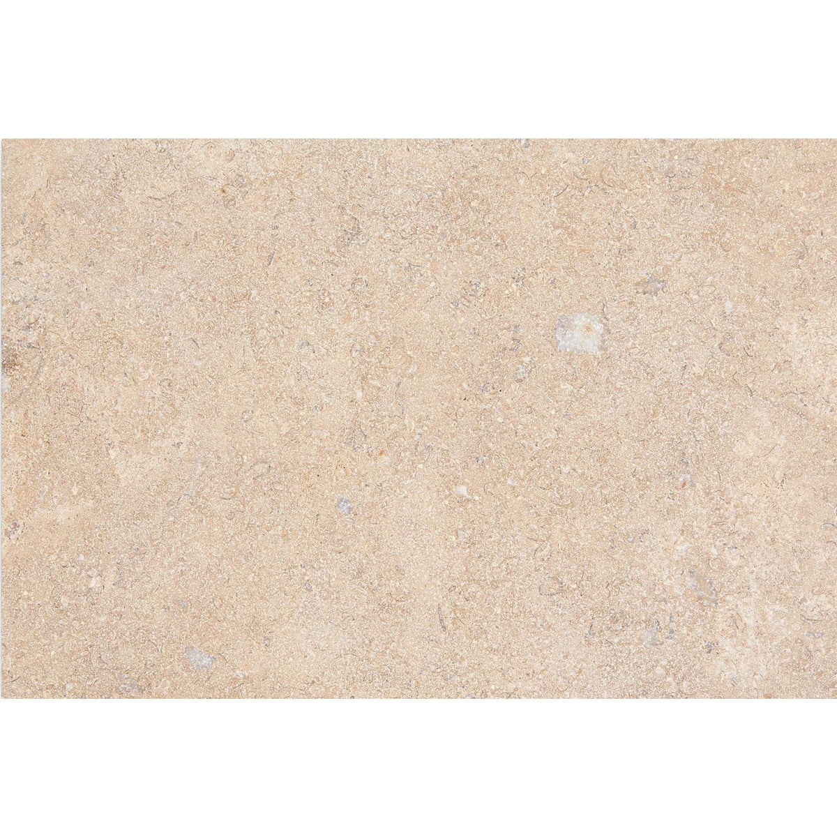 Temple Marsa sandblasted and brushed limestone tile 60 x 90cm — light beige natural stone slab with fossils and veining