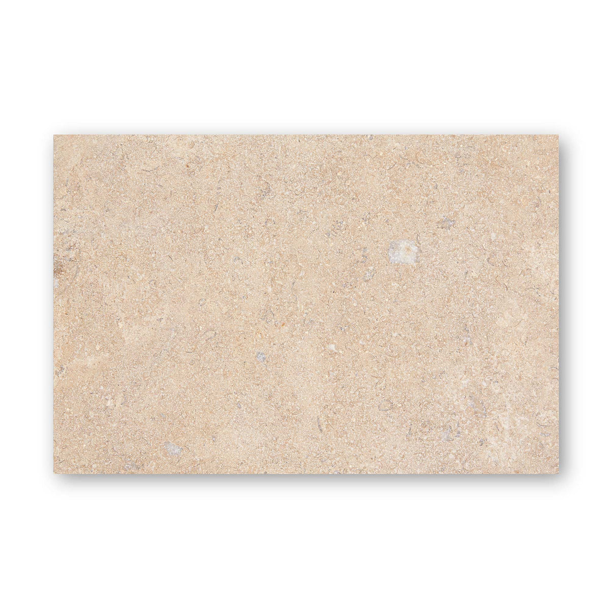 Temple Marsa sandblasted and brushed limestone tile 60 x 90cm — light beige natural stone slab with fossils and veining