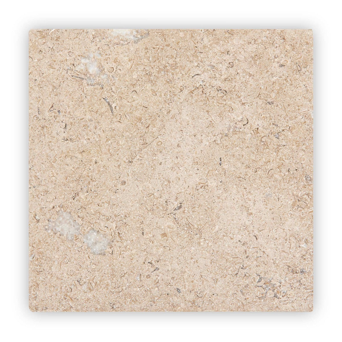 Temple Marsa sandblasted and brushed limestone tile 20 x 20cm — light beige natural stone with fossils and veining