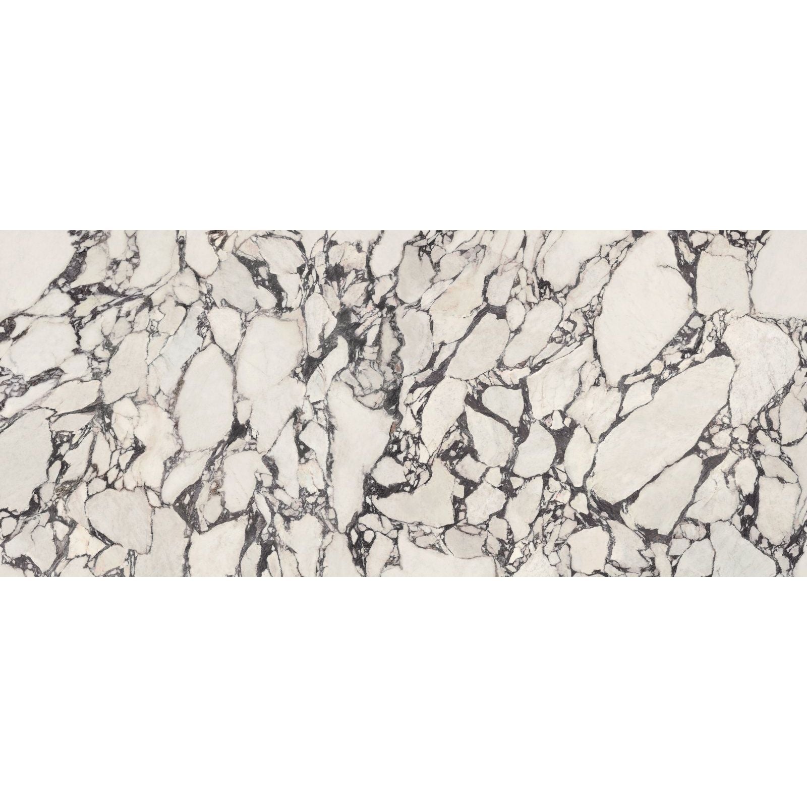 White marble slab marvel epic calacatta viola with intricate black veining for elegant interior surfaces