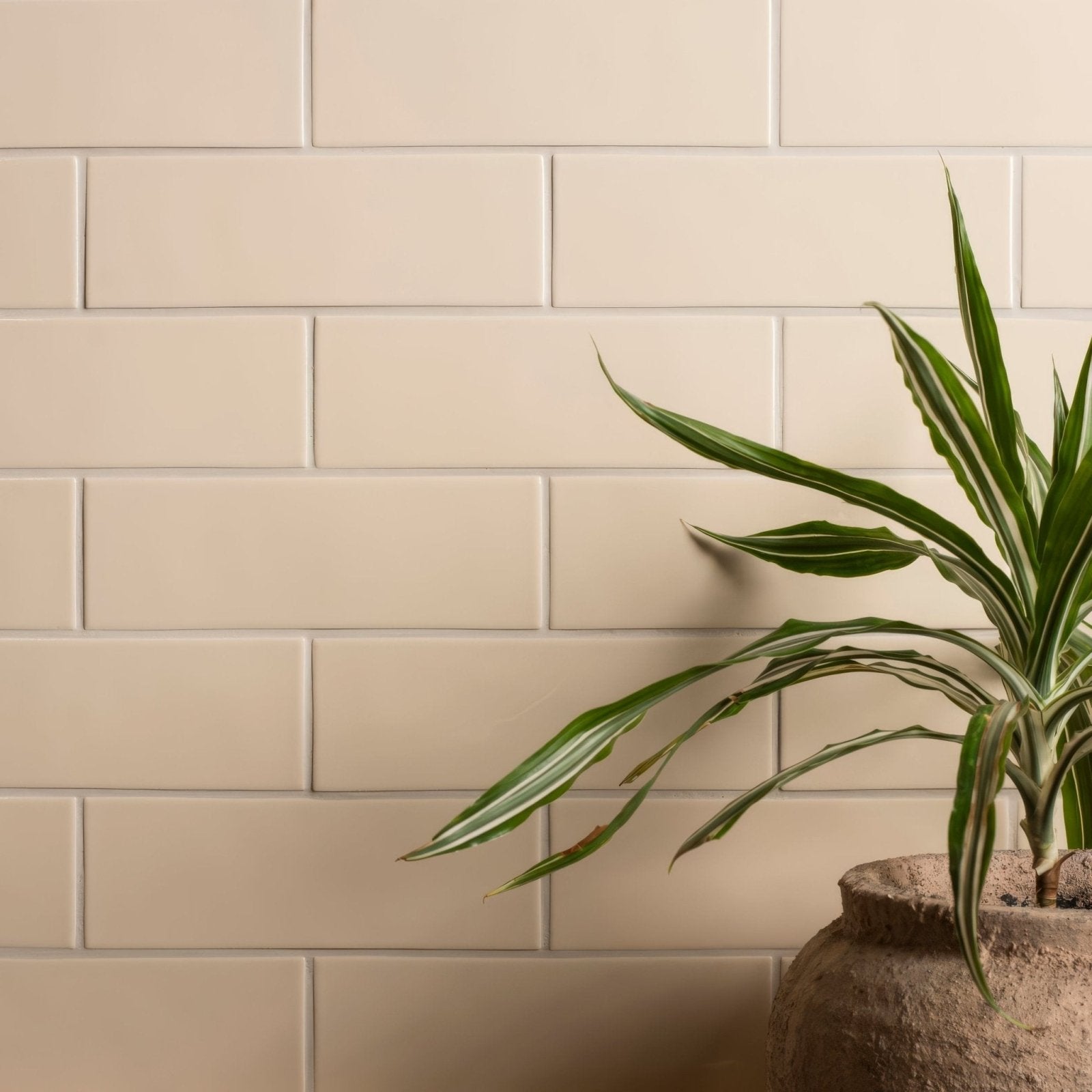 Beige rectangular subway brick tile melford with subtle grout lines forming a clean modern wall backdrop