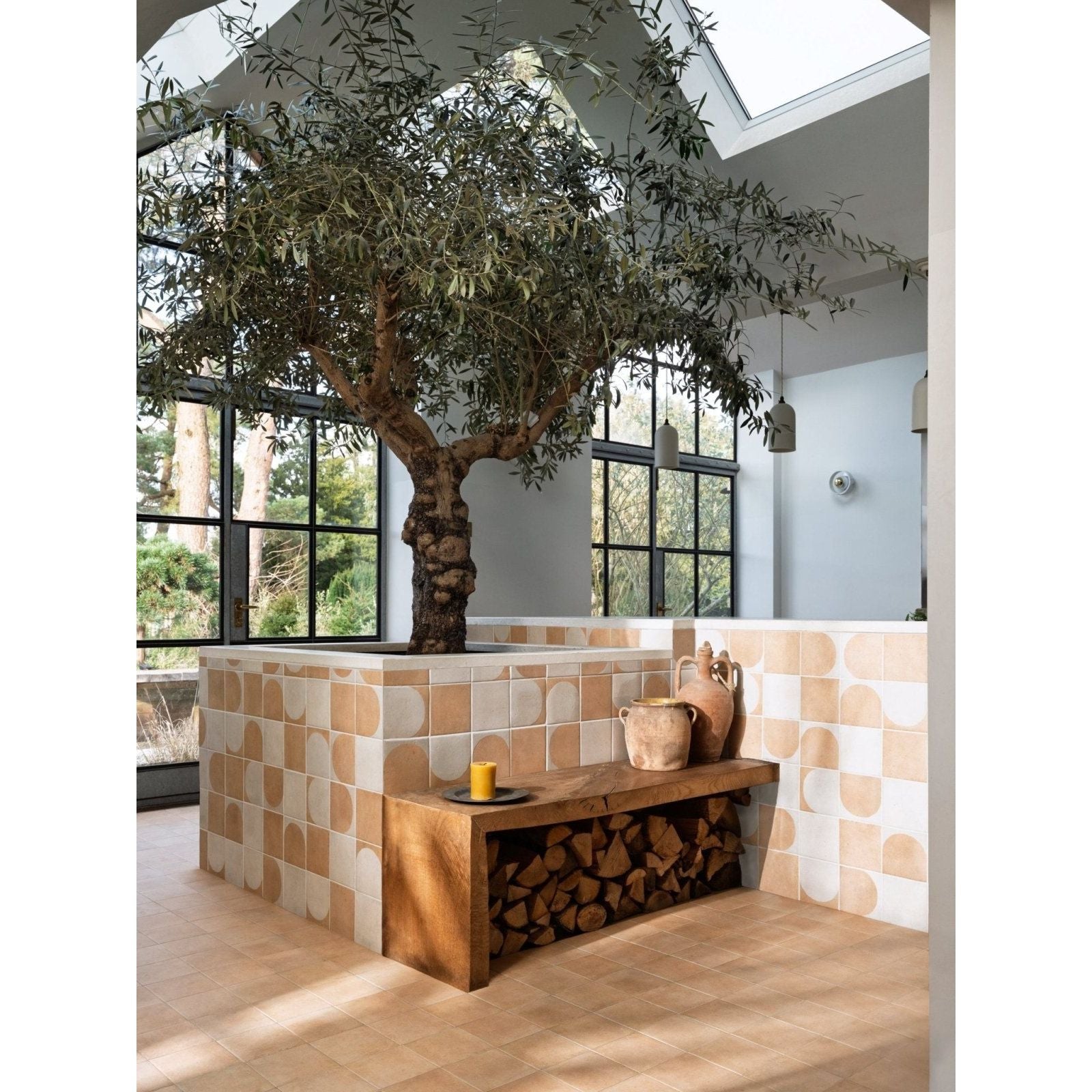 A tall olive tree with a gnarled trunk stands on menara white porcelain matt flooring with a textured finish