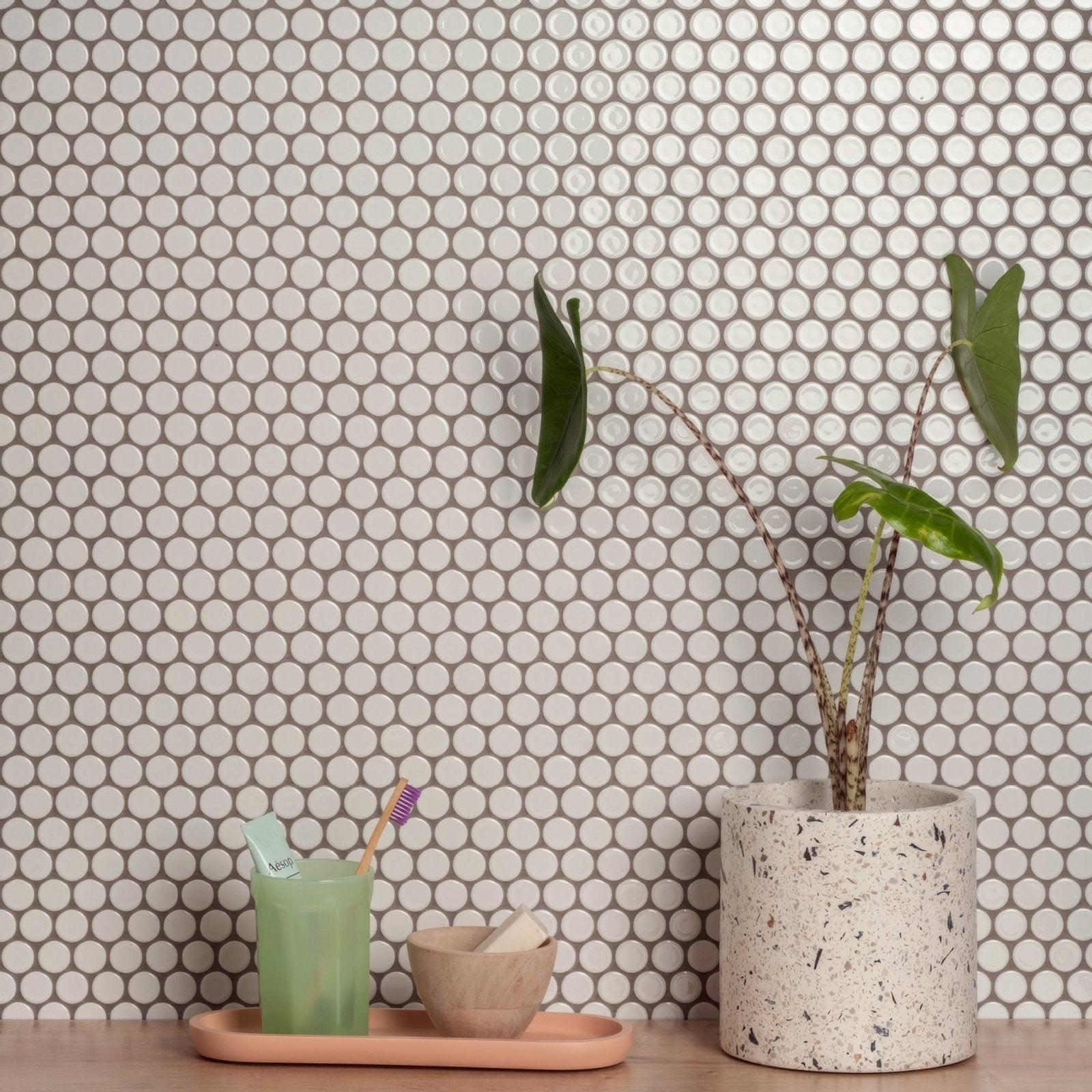 Mini white penny round speckled white terrazzo planter with natural stone finish holding green leafed plant