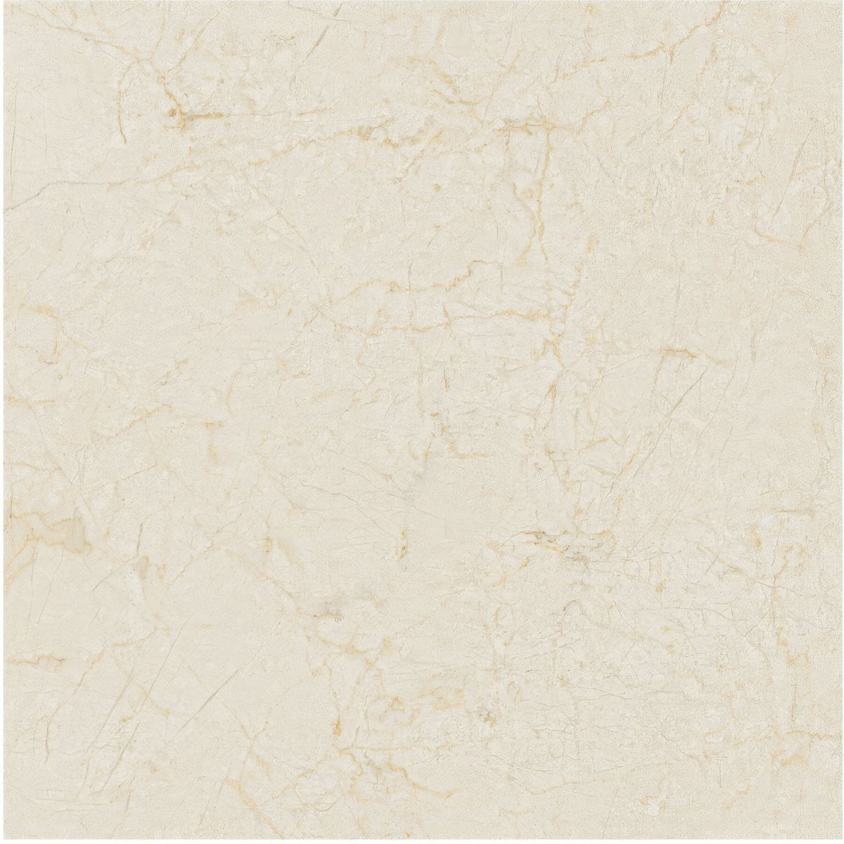 Cream-colored marble tile with subtle beige veining from monte coto cream collection for elegant flooring and walls