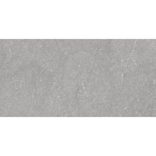 Munich Pearl 30 x 60cm Wall & Floor Tile - alternate view