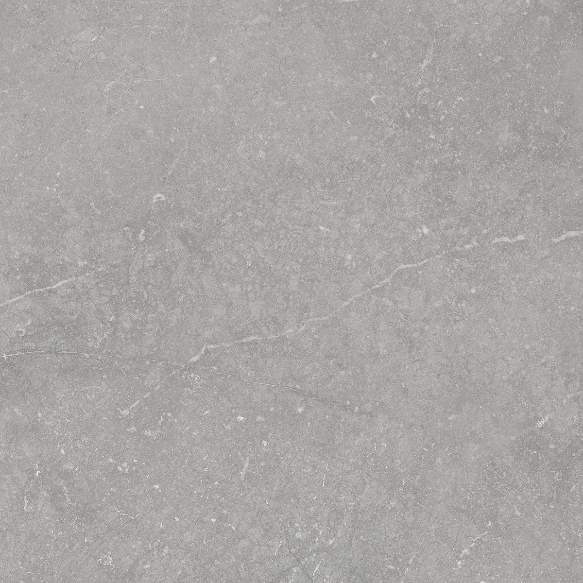 Gray stone tile munich pearl 60 x 60cm with subtle white veining and a matte textured surface for flooring