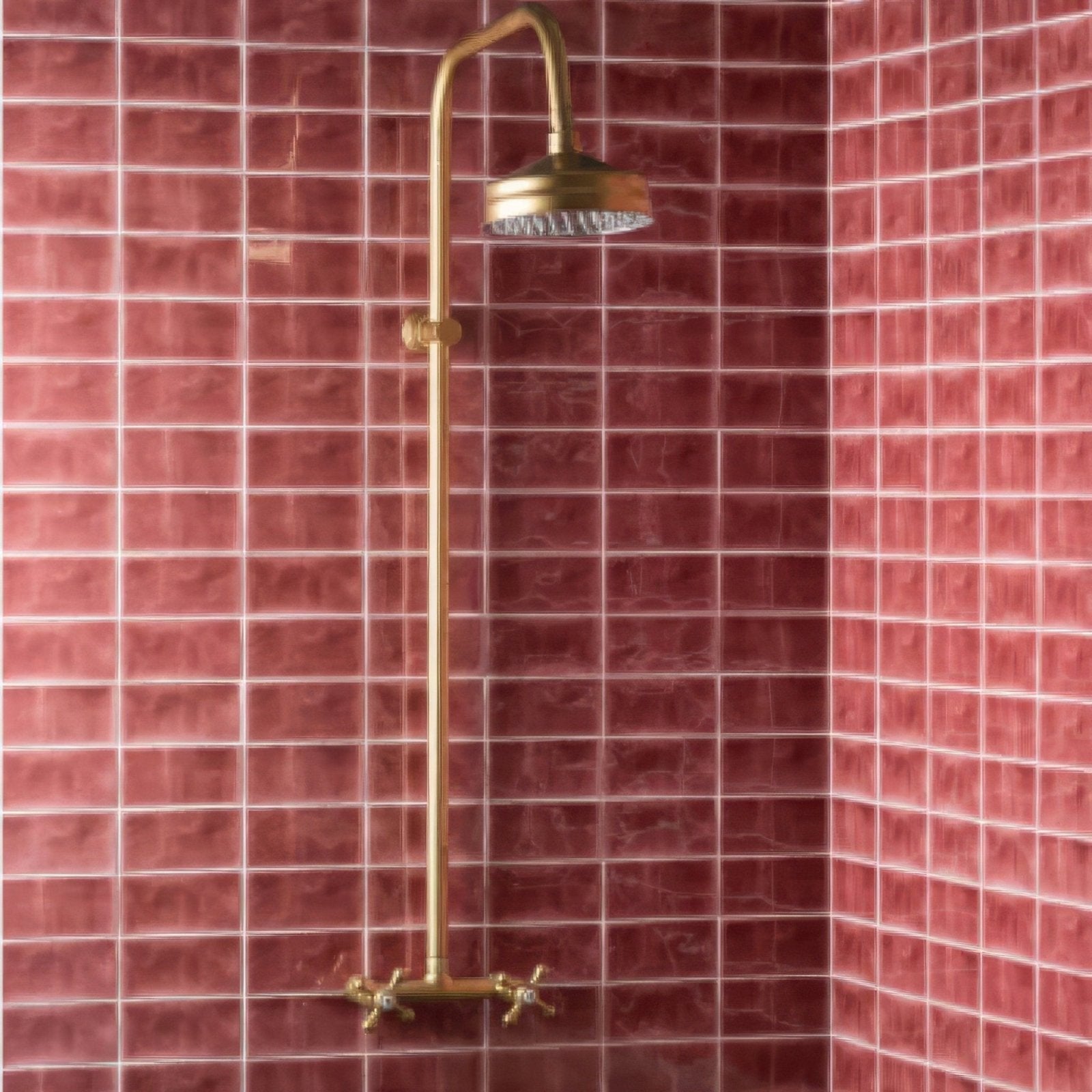 Brass-finished shower head with curved arm and cross-handle faucet mounted on red musk half tile wall tiles
