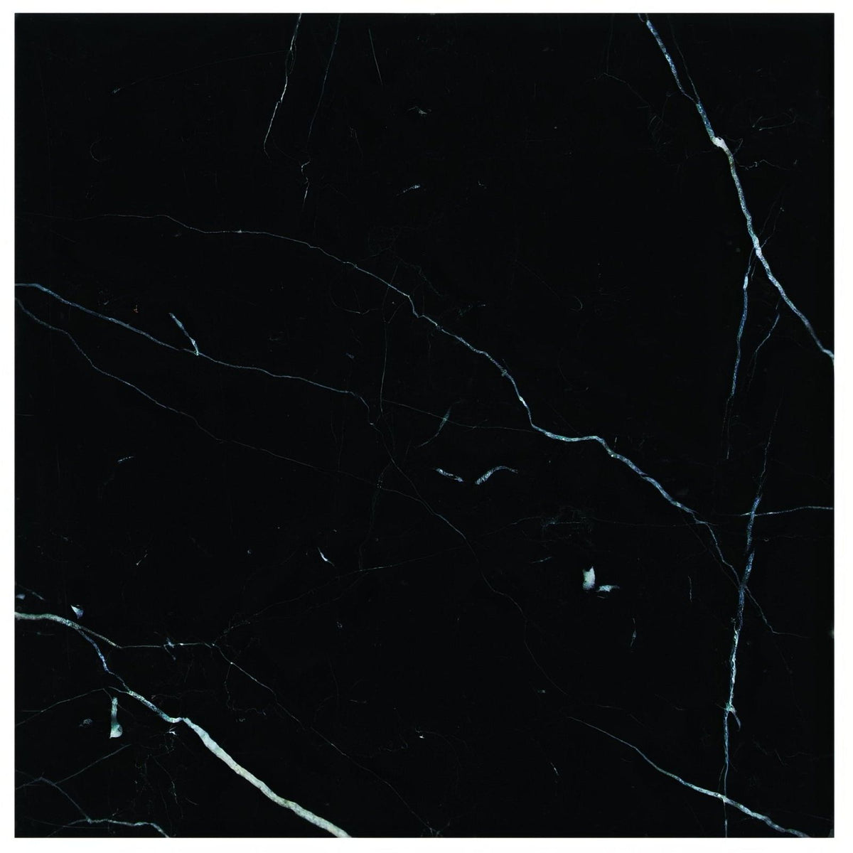 Nero polished marble black marble tile with elegant white and gray veined patterns for flooring and wall use
