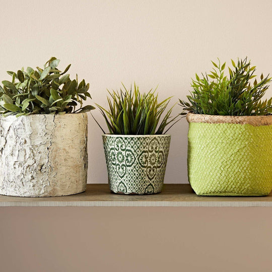 Old White three planters on a shelf with white textured bark, green cream geometric pattern, and lime-green woven basket