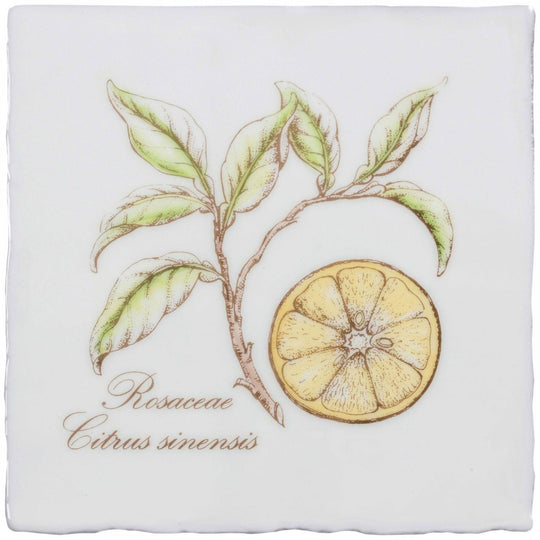 Orange Decorative Tile On Cotton