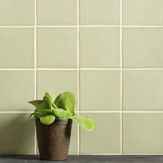 A potted succulent with broad green leaves in a dark brown embossed ceramic pot on an orford field tile surface