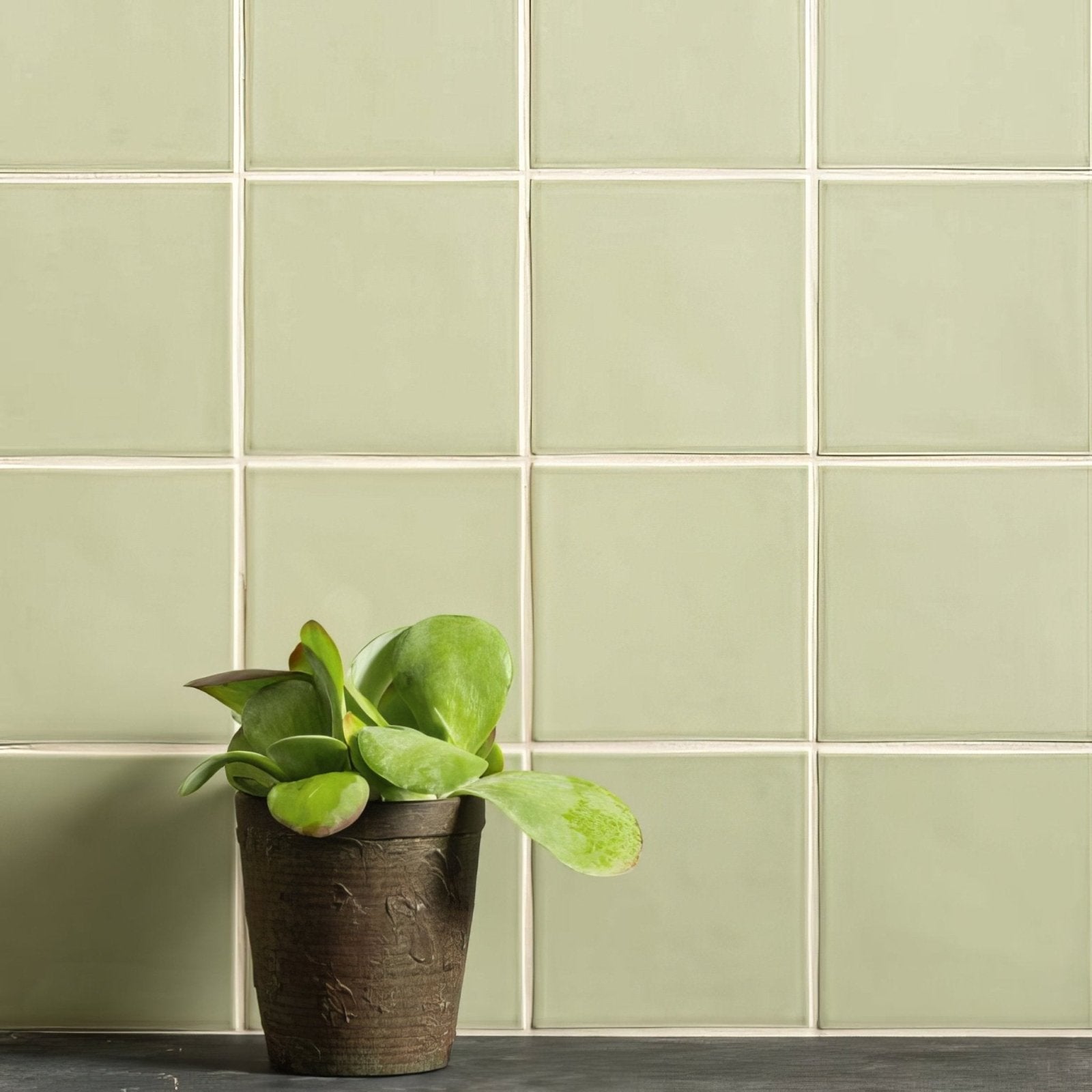A potted succulent with broad green leaves in a dark brown embossed ceramic pot on an orford field tile surface