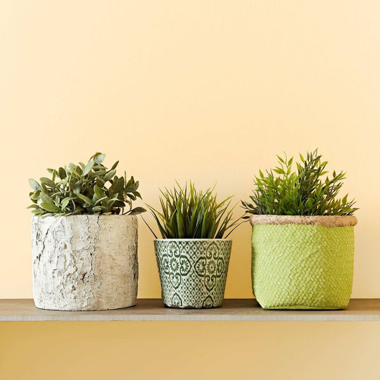 Three distinct pale coumarin planters in weathered white textured, green patterned ceramic, and lime woven materials on a shelf