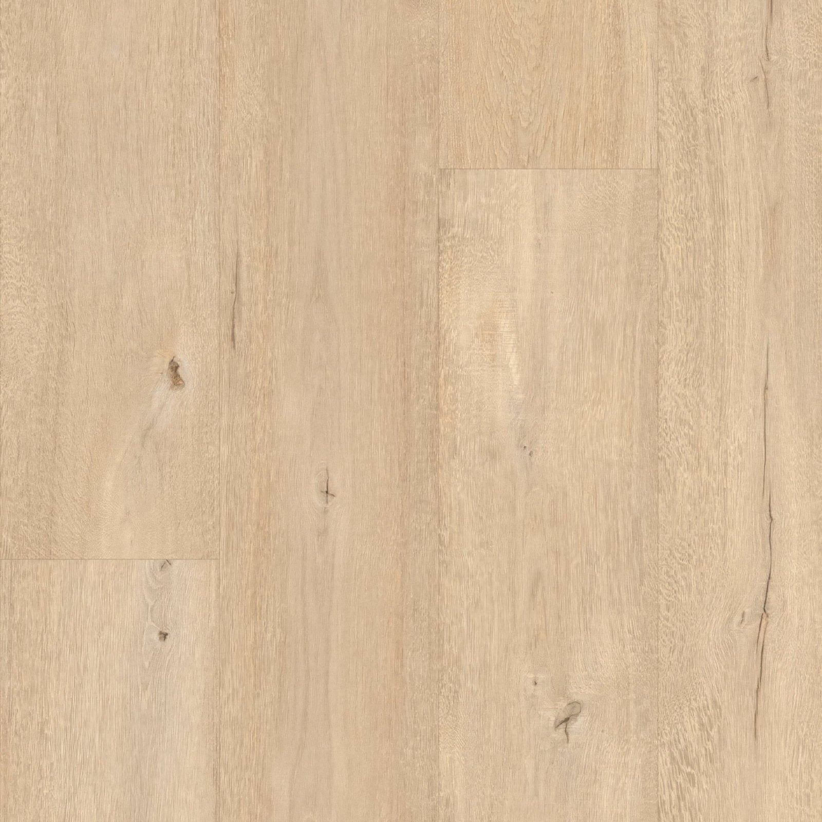Light beige parmesan f093 xl vinyl planks with natural grain pattern and subtle knots engineered wood flooring