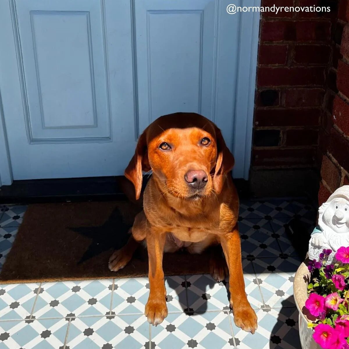 Patisserie Hevin Blue Patterned Tile